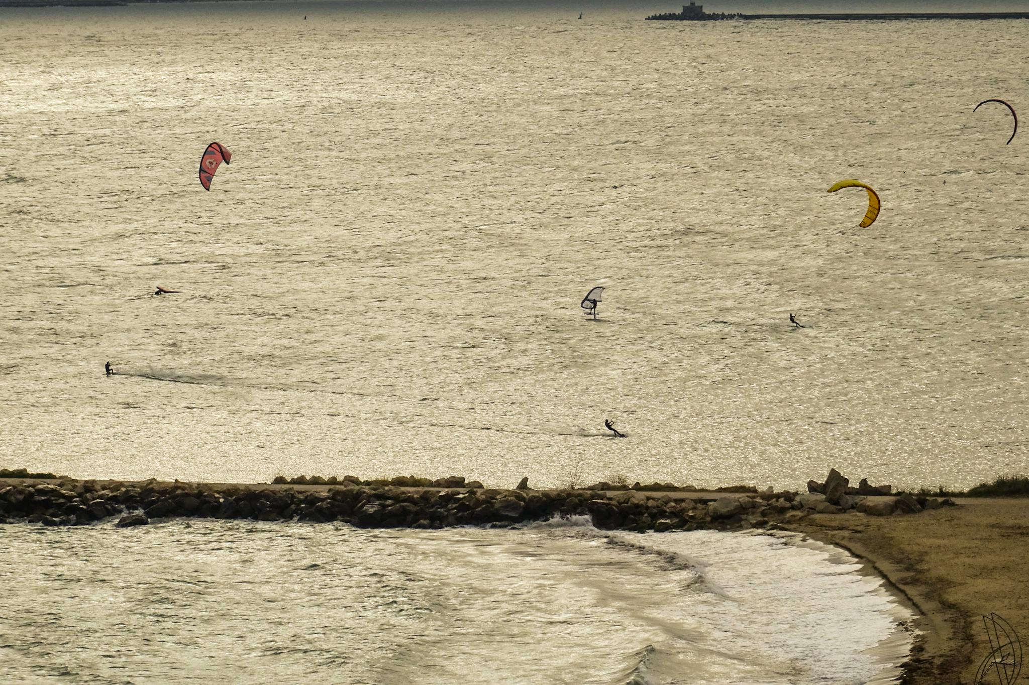Multiple kitesurfers enjoying the ocean breeze on a sunny day with an expansive sea view.